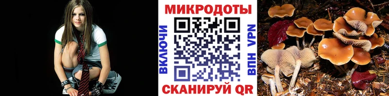 гидра tor  Раменское  Галлюциногенные грибы Magic Shrooms  цена наркотик 