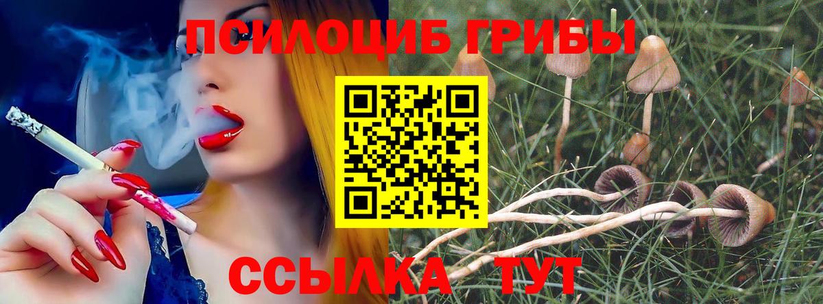 Раменское  Псилоцибиновые грибы прущие грибы  Вход с VPN  Галлюциногенные грибы мицелий 